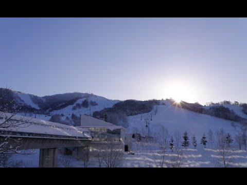 北海道-Mount Racey 雷斯山日本滑雪場