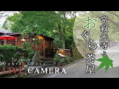 常寂光寺三門與小倉茶屋【白天才會有】
