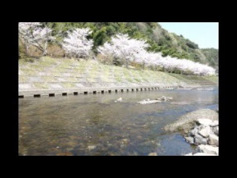 日本鹿兒島縣-南九州市、岩屋公園露營地、馬之瀨河景