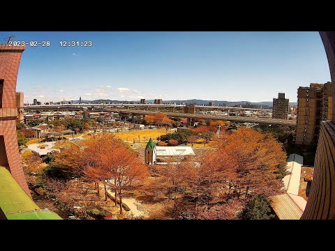 新北市板橋區,音樂公園