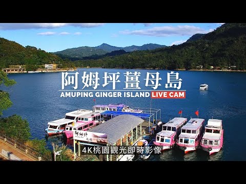 桃園,復興里,大溪區,阿姆坪遊艇碼頭,阿姆坪薑母島🔄