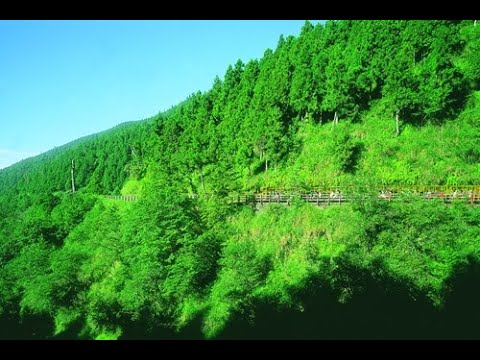 宜蘭太平山蹦蹦車-太平山站🔄