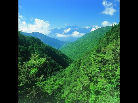 宜蘭太平山觀景平台(有一小角可以自拍)🔄