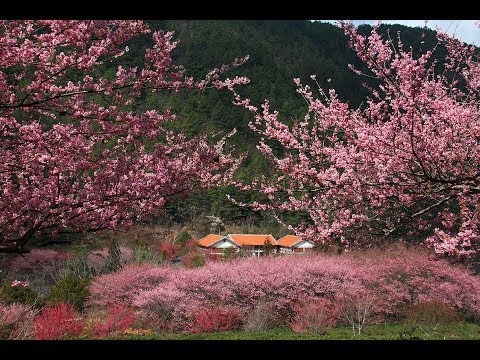 台中雪霸國家公園武陵遊客中心