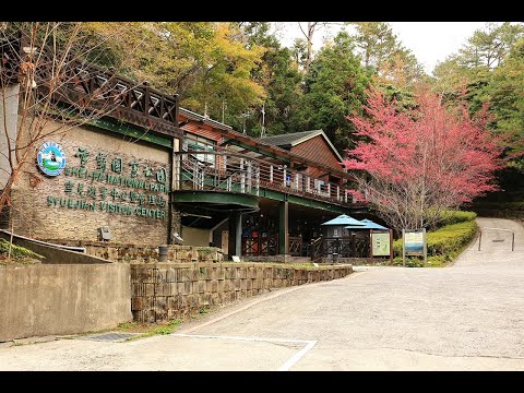 苗栗雪霸國家公園-雪見遊憩區