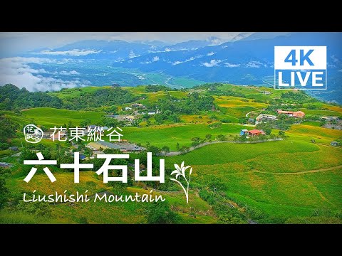 花蓮富里鄉-六十石山風景區