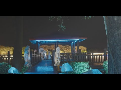 台南-新營天鵝湖公園