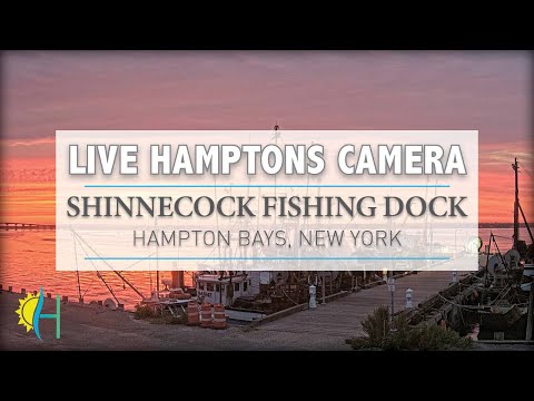 美國-漢普頓釣魚碼頭-Shinnecock Commercial Fishing Dock