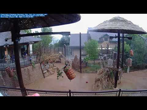 美國-科羅拉多州夏延山動物園(外)