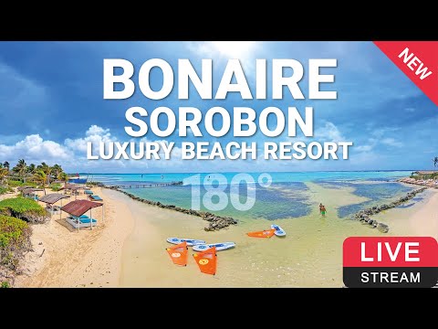 荷蘭加勒比區克拉倫代克-Sorobon Luxury Beach Resort 