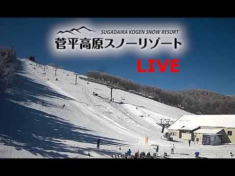 長野縣,菅平高原,哈勒日本滑雪場