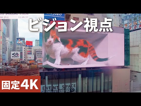 東京新宿-喵喵3D看版(車站東口前)📵