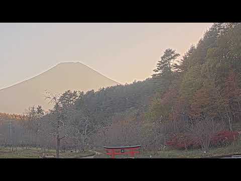 山梨縣-忍野忍者村